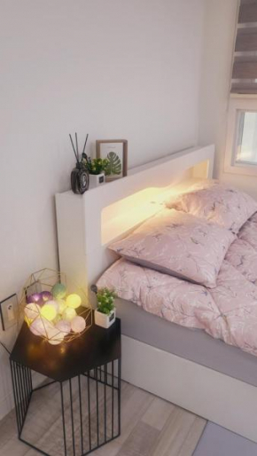 Cozy spacious house